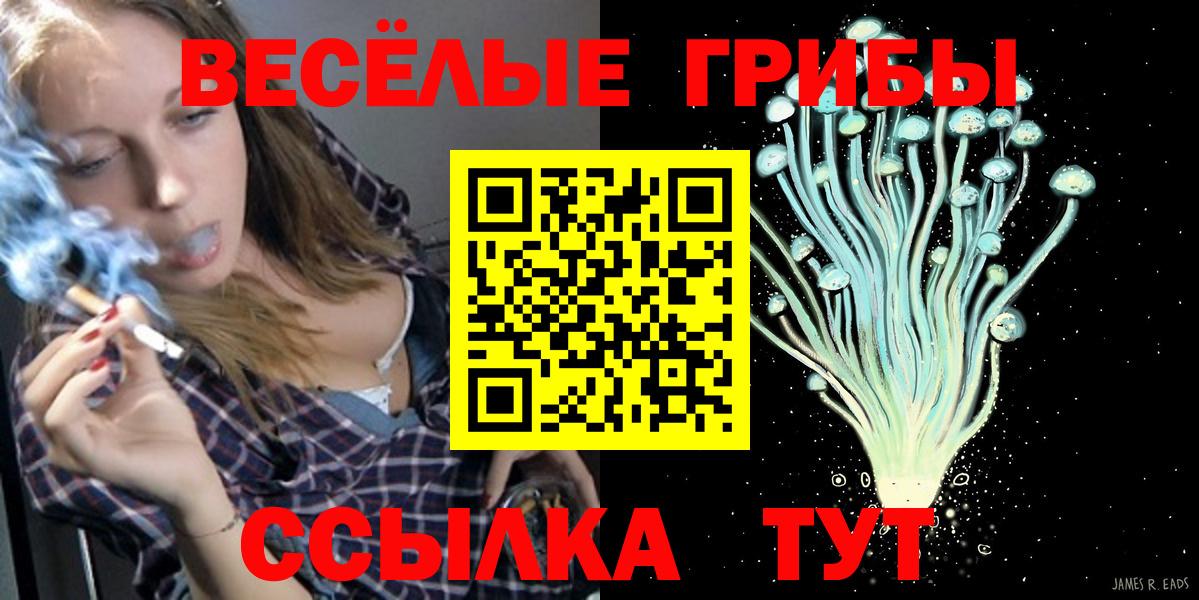 Псилоцибиновые грибы Cubensis  Вход с VPN  Славянск-на-Кубани 