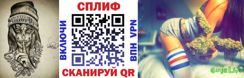 Конопля план Славянск-на-Кубани